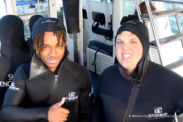 Shark cage diving, South Africa