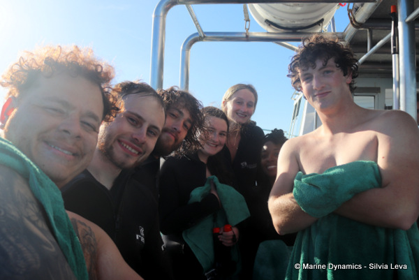 Shark cage diving, South Africa
