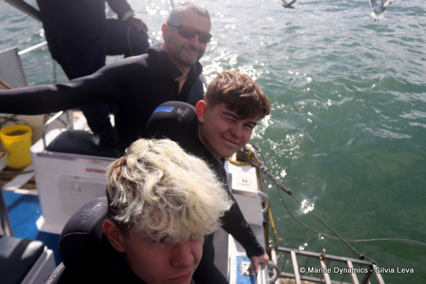 Shark cage diving, South Africa