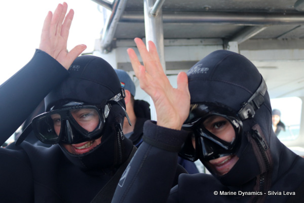Shark cage diving, South Africa