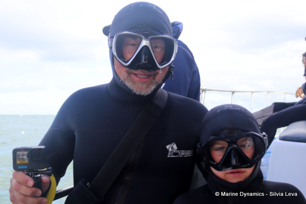 Shark cage diving, South Africa