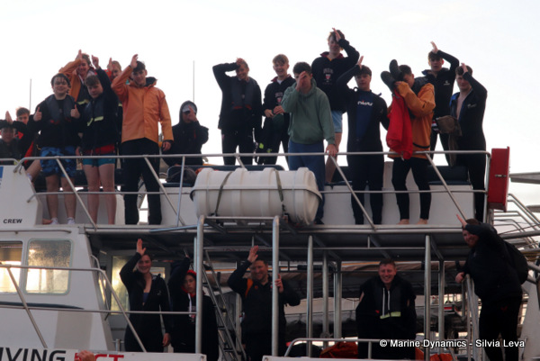 Shark cage diving, South Africa
