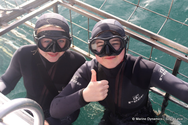 Shark cage diving, South Africa
