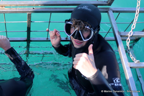 Shark cage diving, South Africa