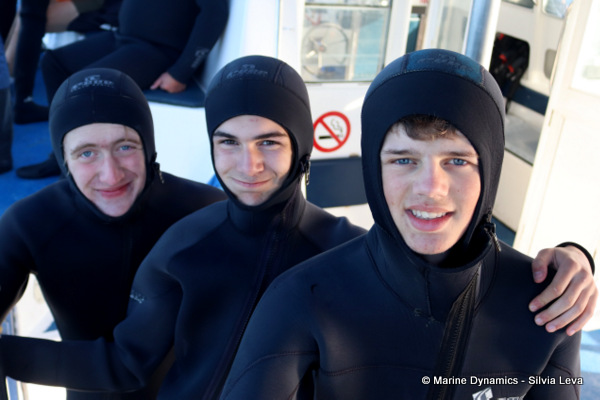 Shark cage diving, South Africa