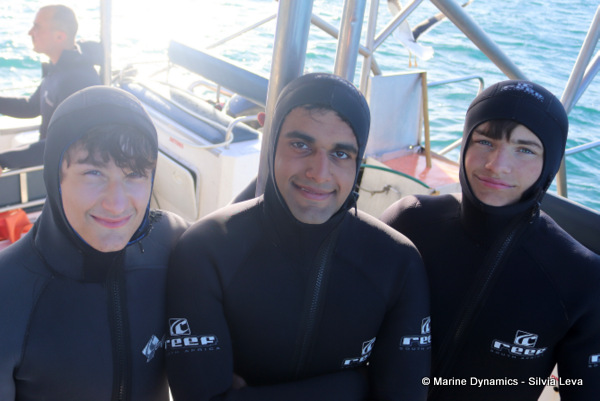 Shark cage diving, South Africa