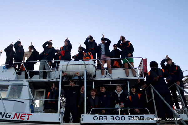 Shark cage diving, South Africa