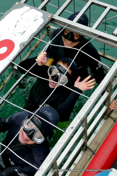 Shark cage diving, South Africa