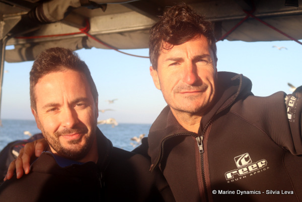 Shark cage diving, South Africa
