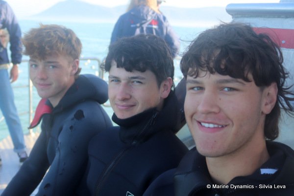 Shark cage diving, South Africa