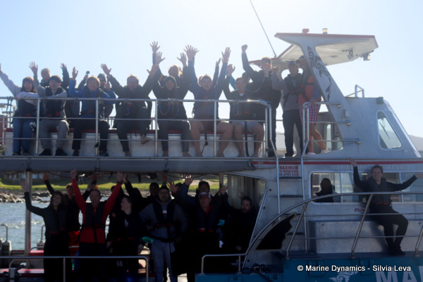 Shark cage diving, South Africa