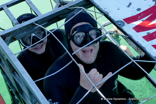 Shark cage diving, South Africa