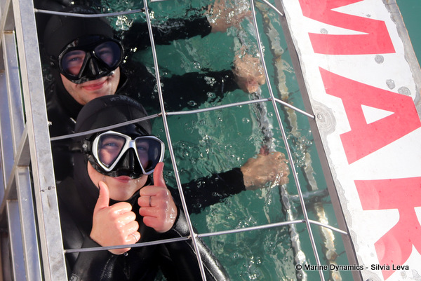 Shark cage diving, South Africa