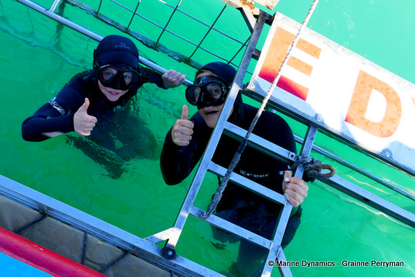 Shark cage diving, South Africa