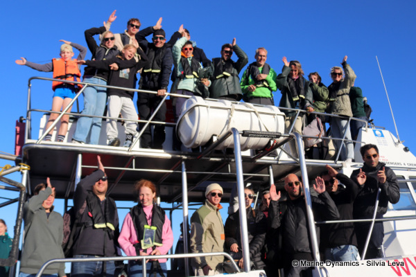 Shark cage diving, South Africa