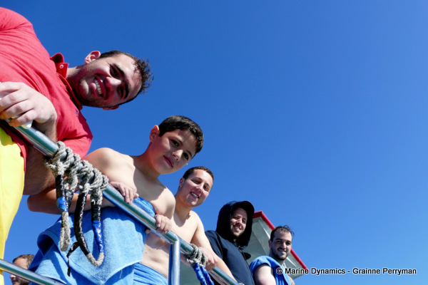 Shark cage diving, South Africa