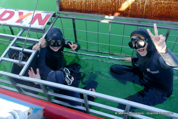 Shark cage diving, South Africa