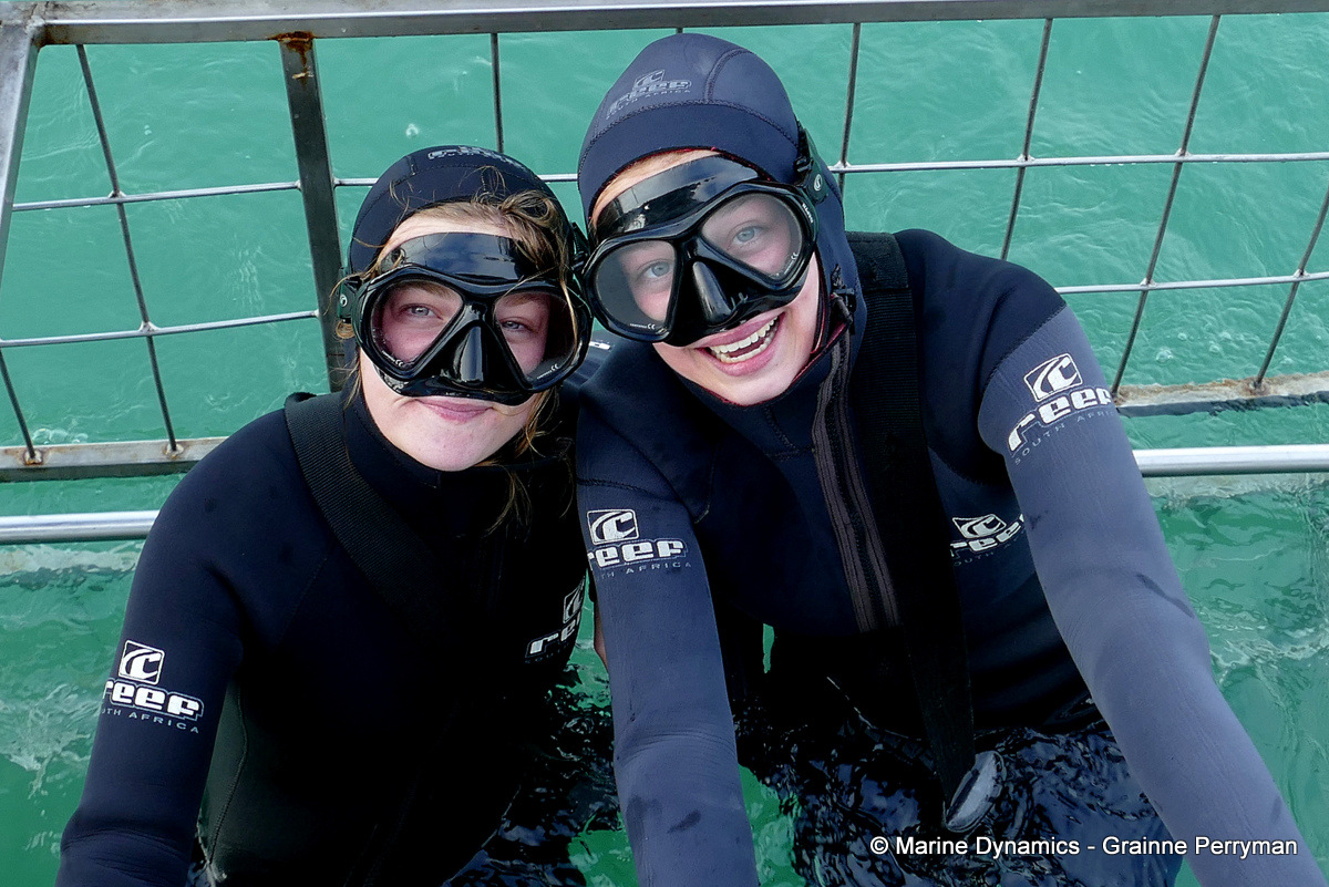 Shark cage diving, South Africa