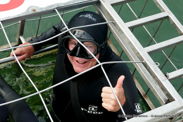 Shark cage diving, South Africa