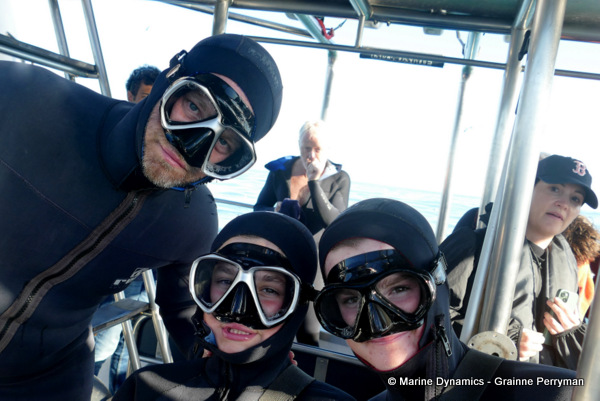 Shark cage diving, South Africa