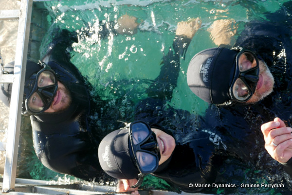 Shark cage diving, South Africa