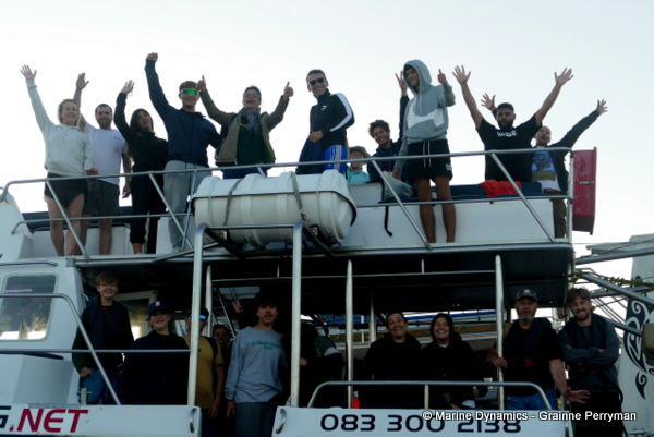 Shark cage diving, South Africa
