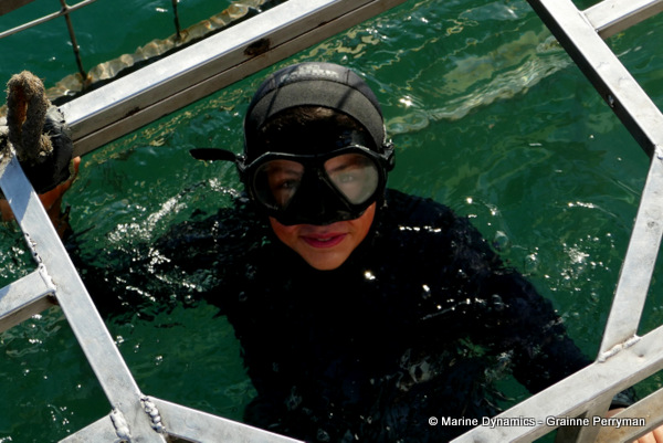 Shark cage diving, South Africa