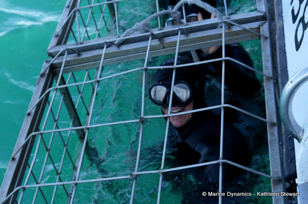 Shark cage diving, South Africa