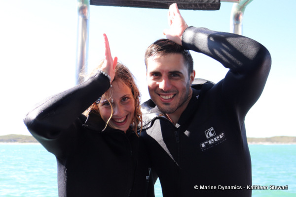 Shark cage diving, South Africa