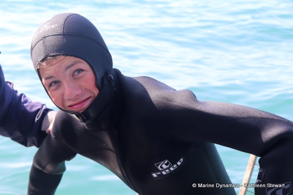Shark cage diving, South Africa