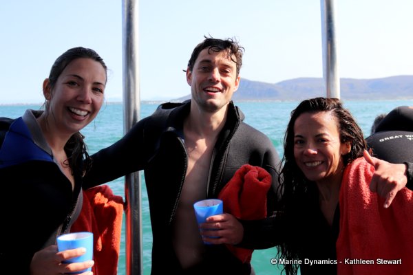 Shark cage diving, South Africa