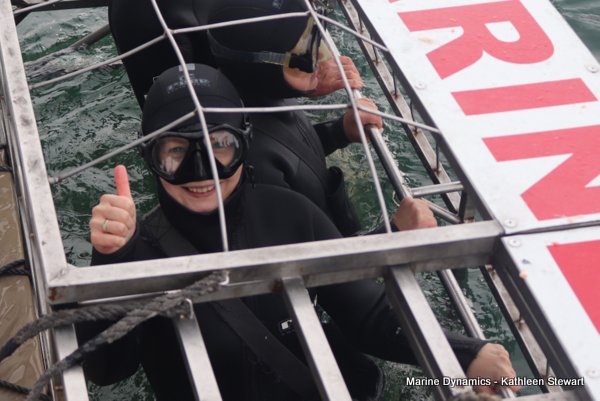 Shark cage diving, South Africa