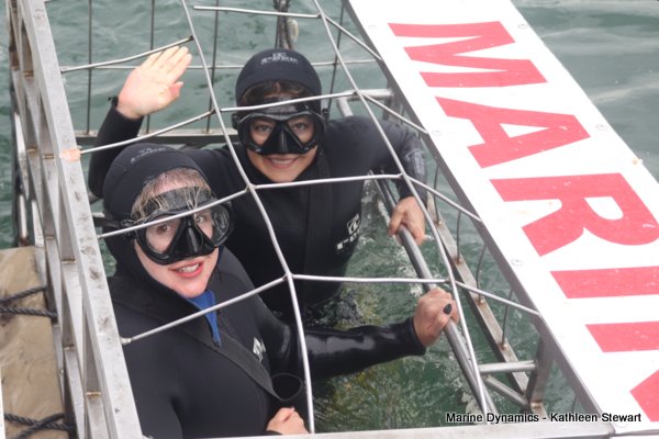 Shark Cage Diving, South Africa
