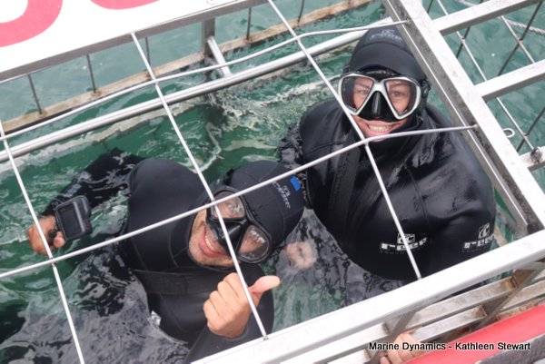 Shark Cage Diving, South Africa