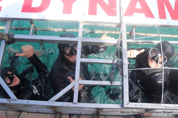 Shark Cage Diving, South Africa