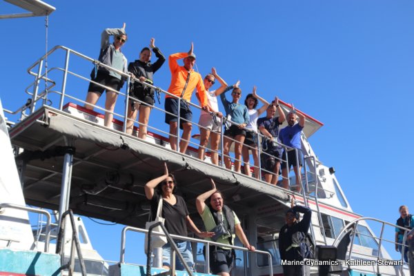 Shark Cage Diving, South Africa