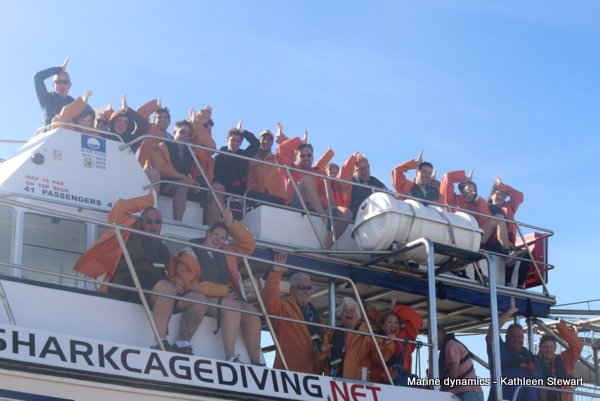 Shark Cage Diving, South Africa