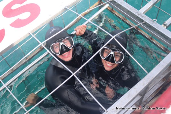 Shark cage diving, South Africa