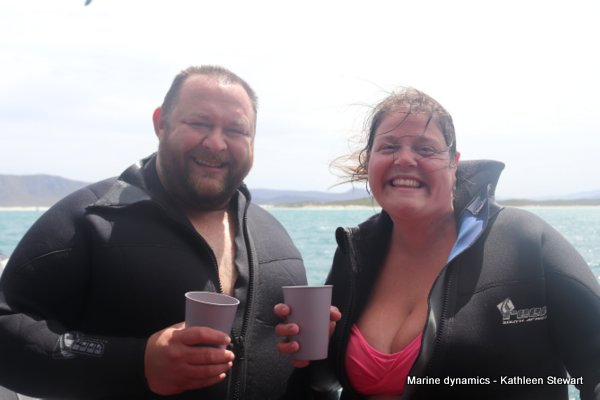 Shark cage diving, South Africa