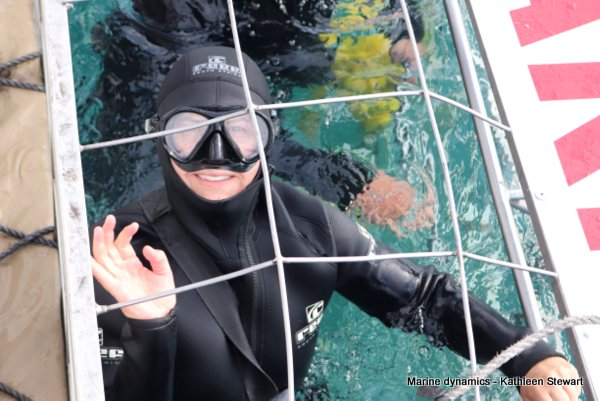 Shark cage diving, South Africa