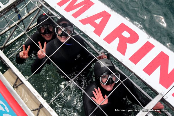 Shark cage diving, South Africa