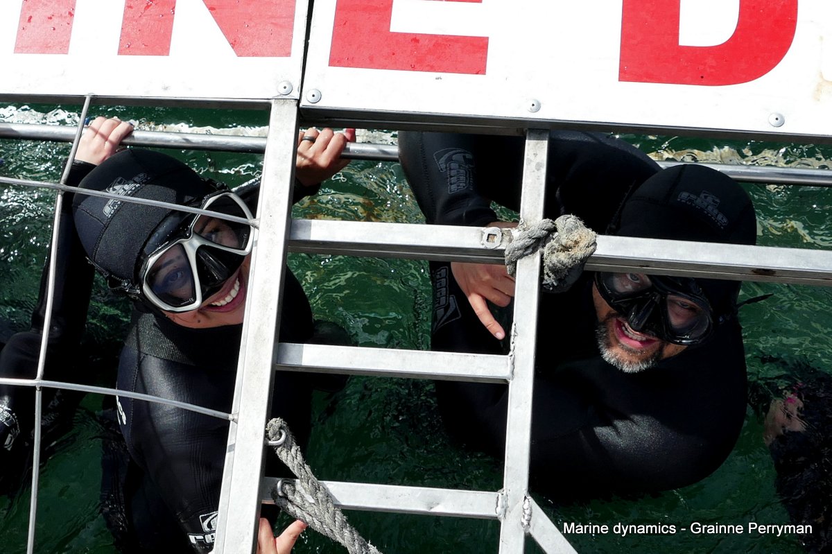 Shark cage diving, South Africa