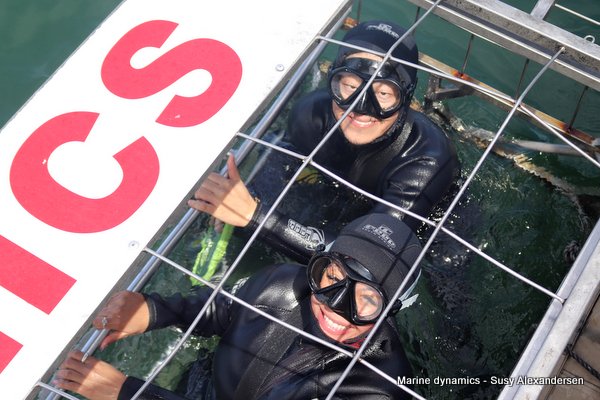 Shark Cage Diving, South Africa
