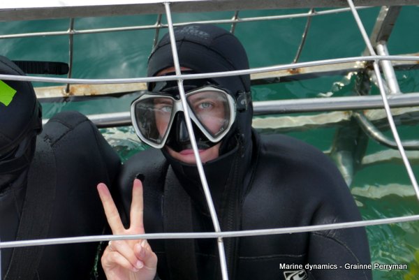 Shark Cage Diving, South Africa
