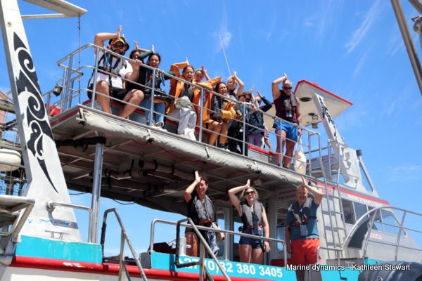 Shark Cage Diving, South Africa