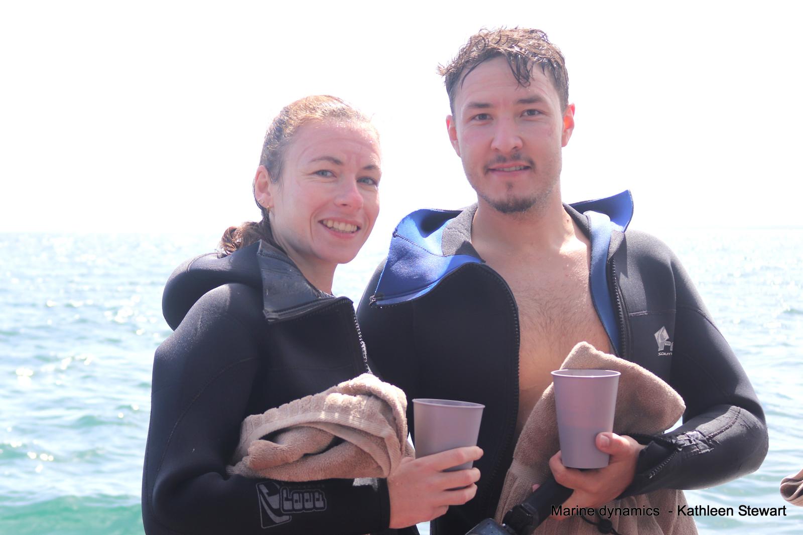 Shark Cage Diving, South Africa