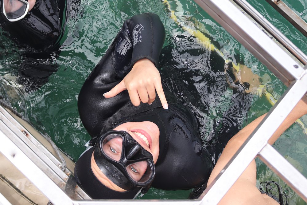 Shark Cage Diving, South Africa