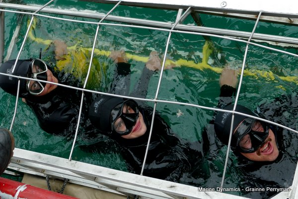 Shark Cage Diving, South Africa