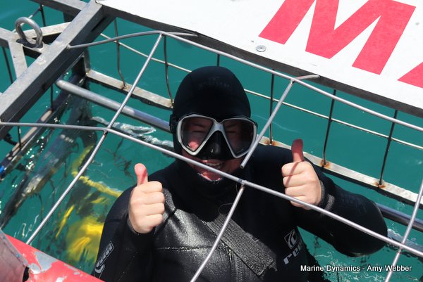 Shark Cage Diving, South Africa