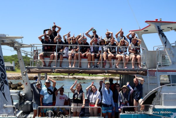 Shark Cage Diving, South Africa